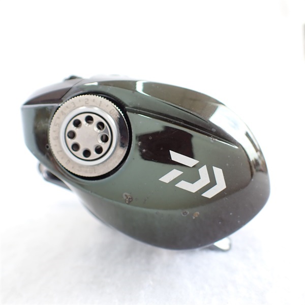 スティーズリミテッド右